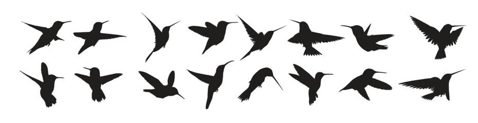 Hummingbirds silhouettes