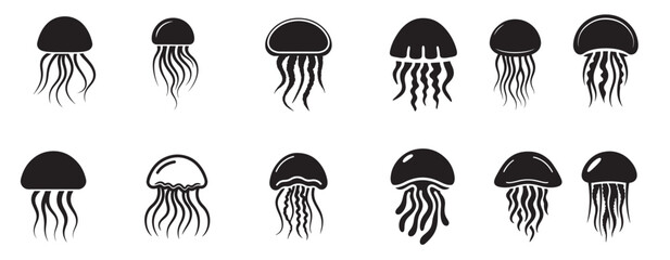 jellyfish silhouette white background © Massale