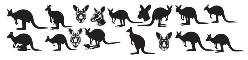  kangaroo silhouette white background