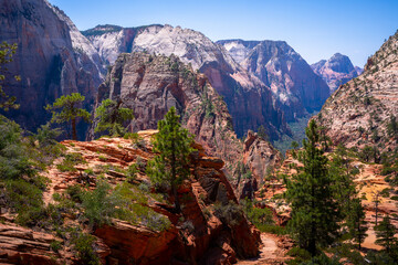 hiking in zion national park in utah, usa