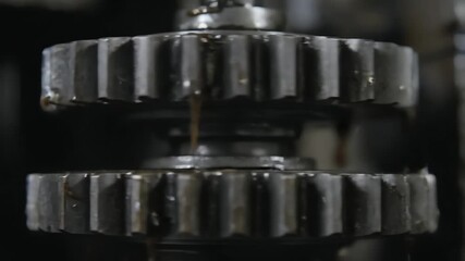 Industrial machine gears rotating with thick black oil for lubrication.