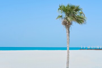 Minimalist tropical beach scene with a single palm tree standing on white sand shore, turquoise sea and clear blue sky in background. Summer vacation and travel concept.