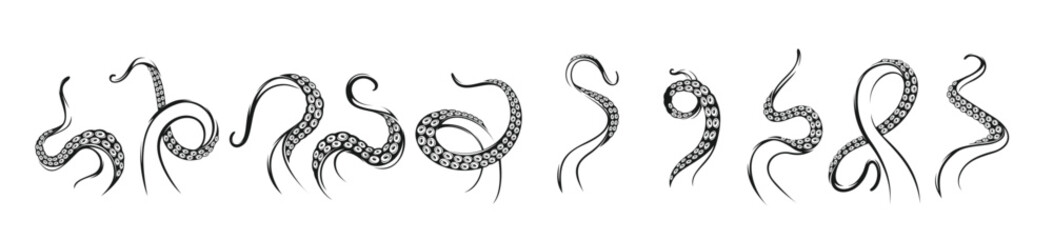 octopus tentacles kraken or squid monster tattoo © Zaffr