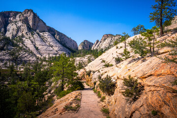 hiking in zion national park in utah, usa
