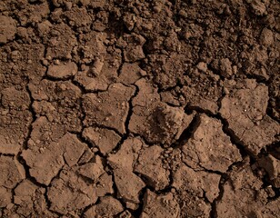 Cracked brown earth