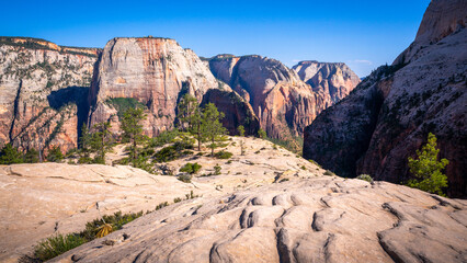 hiking in zion national park in utah, usa