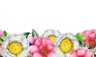 Camellia blooming flowers seamless border decor on white background. Hand drawn vintage style botanical watercolor illustration. Tender pink and white camellia blossoms seamless border decoration