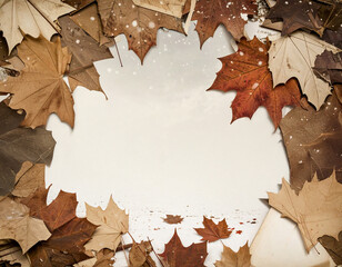 初雪と落ち葉に包まれた冬の入り口を連想するフレーム