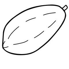 vector illustration of a papaya. coloring book for kids