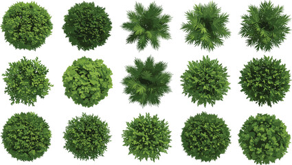 Top view green bushes and plants collection, realistic garden foliage set, landscape design vegetation elements, eco nature greenery, cad drawing flat vector illustration