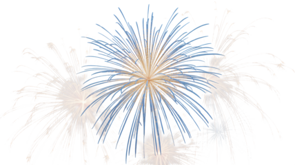 Spectacular fireworks bursting with vibrant colors against a dark night sky, perfect for celebrations and special events
