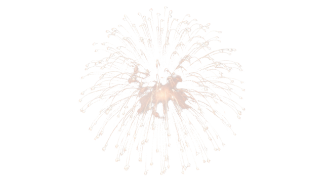 Stunning white fireworks display bursting against a black night sky, perfect for celebration, joy, and special events