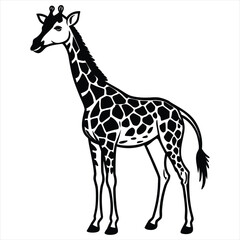 Obraz premium black and white giraffe vector illustration,Giraffe Silhouette Vector,African Wildlife Illustration, Elegant Animal Design in Black and White,giraffe vector,giraffe design, giraffe concept, giraffe