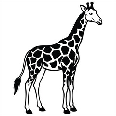 Obraz premium black and white giraffe vector illustration,Giraffe Silhouette Vector,African Wildlife Illustration, Elegant Animal Design in Black and White,giraffe vector,giraffe design, giraffe concept, giraffe