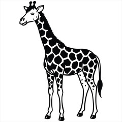 black and white giraffe vector illustration,Giraffe Silhouette Vector,African Wildlife Illustration, Elegant Animal Design in Black and White,giraffe  vector,giraffe  design, giraffe  concept, giraffe