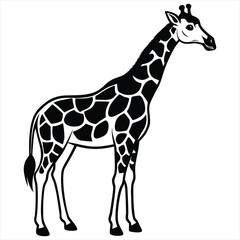 Naklejka premium black and white giraffe vector illustration,Giraffe Silhouette Vector,African Wildlife Illustration, Elegant Animal Design in Black and White,giraffe vector,giraffe design, giraffe concept, giraffe