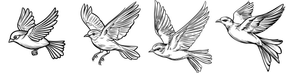 Obraz premium An elegant bird silhouette in flight is ideal for nature-themed designs and decorations