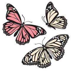 Three stylized monarch butterflies with pink and cream wings on a white background