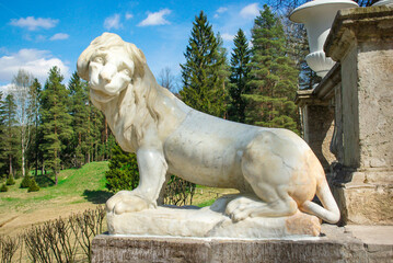 classical white marble lion statue. Guardian stone lion figure on a terrace or balustrade. Ideal for concepts related to strength, classicism, historical landmarks, or fine art sculpture