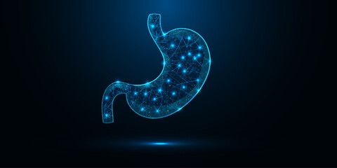 Human stomach organ, abstract 3D gastric geometric low poly wireframe design. Innovative medicine and technology. Vector illustration.