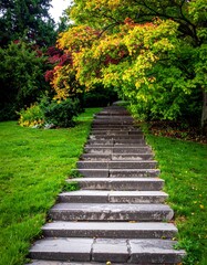 Obraz premium Stone steps ascend through a parkland setting, foliage in autumnal hues