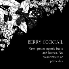 Vector frame berry cocktail. Cherries, grape, raspberries, mulberry , currant. Fresh farm fruits. Organic farming. Nutrition banner, healthy eating