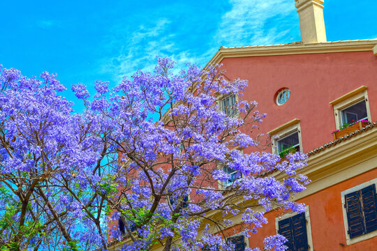 Altstadt von Korfu, Griechenland
