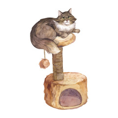 Watercolor illustration of a cat sitting on a stand