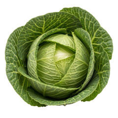 Obraz premium Fresh cabbage head closeup isolated on transparent background