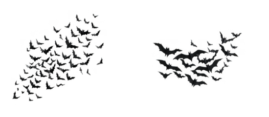Flock of bats flying in formation, isolated on transparent background
