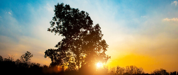 colorful of sunset from countryside thailand. The silhouette big tree contrast of the golden-yellow sky above the valley.Panarama image