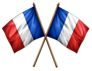 flag of france on a white background