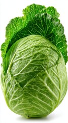Obraz premium cabbage isolated on white background