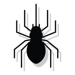 Black spider silhouette with shadow – minimalist Halloween insect icon design on white background