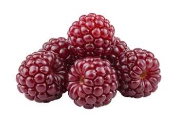 Isolated thimbleberries, cluster of vibrant and fresh berries, ready for dessert creation