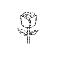 flowers with scribble art