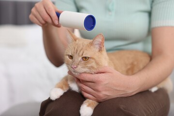 Woman rubbing down her cat with lint roller at home, closeup