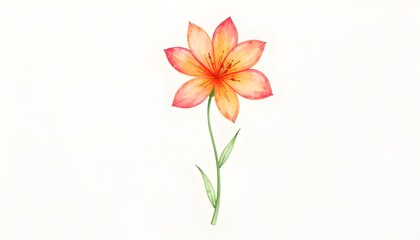 Fototapeta premium A watercolor orange and red flower with green stem on a white background.