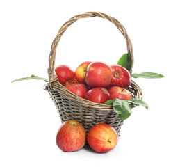 Fresh apples in wicker basket and green leaves isolated on white