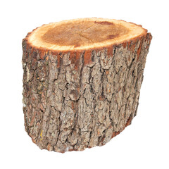 Wooden stump isolated on white