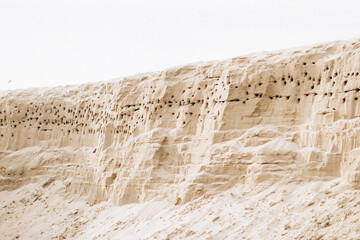 Brown cliff rock formations Textures and patterns backgrounds 