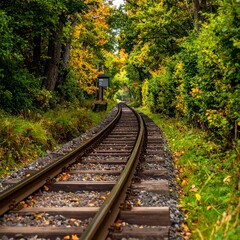 Winding railway tracks through a vibrant autumnal forest