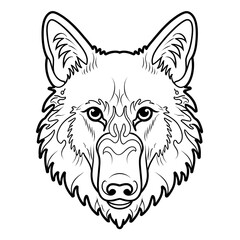 drawing of a portrait of a wolf