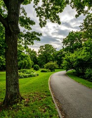 Park Pathway Underneath a Cloudy Sky