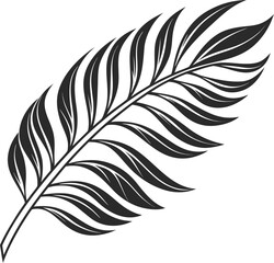 Obraz premium feather vector illustration