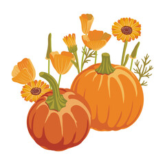 vector drawing pumpkin and flowers Thanksgiving day decoration, autumn vegetable composition with escholzia, daisies and calendula , hand drawn illustration