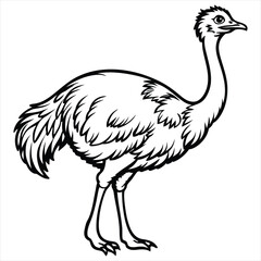 Ostrich Line Art Vector Illustration,Emu Bird Outline Drawing,Wild Ostrich Sketch in Black and White,Exotic Bird Vector Silhouette,Ostrich Ink Drawing Isolated on White Background,Ostrich vector, 