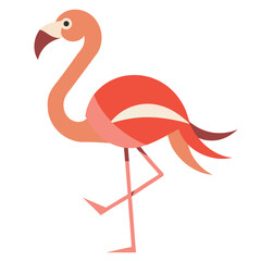 Flamingo Vector Illustration, Minimal Flat Tropical Bird Icon in Modern Style on White Background