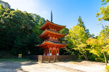 Fototapeta premium 【奈良県】奈良市 霊山寺 (2025/10/07 撮影)