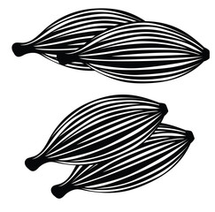 Cute cartoon hand drawn vector set of Cardamom icon silhouette.